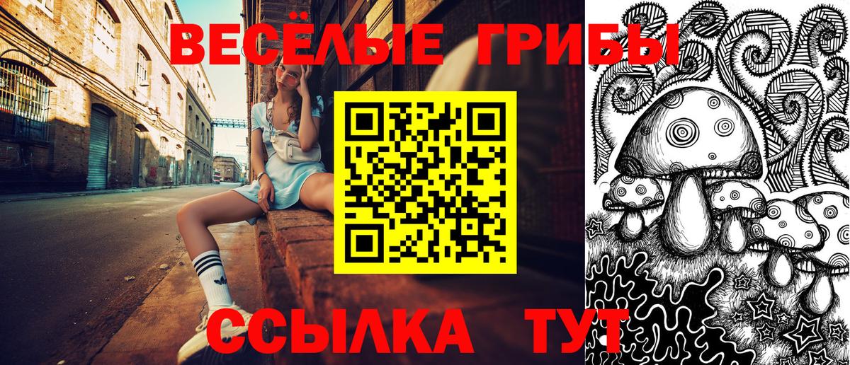Галлюциногенные грибы Magic Shrooms Новоалександровск