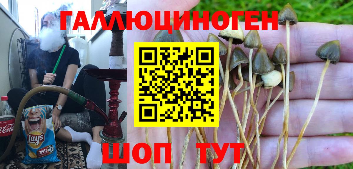 Галлюциногенные грибы ЛСД  Вход с VPN  Новоалександровск 